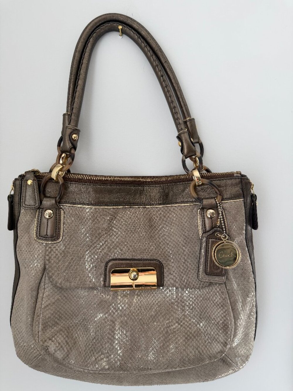 Coach Kristin Metallic Python-Embossed Leather Bag